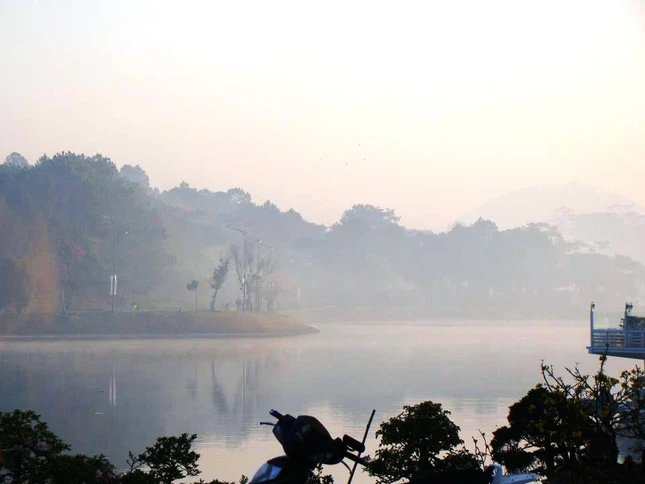 Ngày xuân ngắm mai anh đào ảnh 2 sac hoa anh dao02.jpg