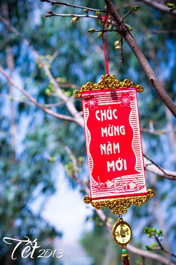 chuc mung 1.jpg