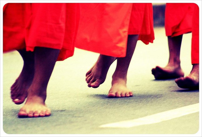 Có chi mà vội ảnh 1 SONG DAO.jpg