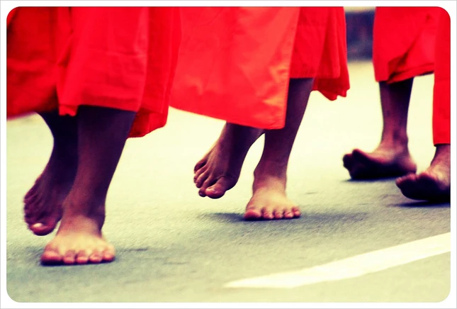 Có chi mà vội ảnh 1 SONG DAO.jpg