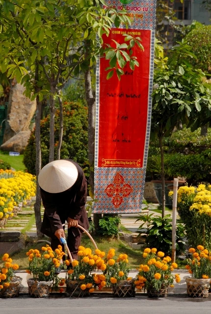 BTN_0115.JPG