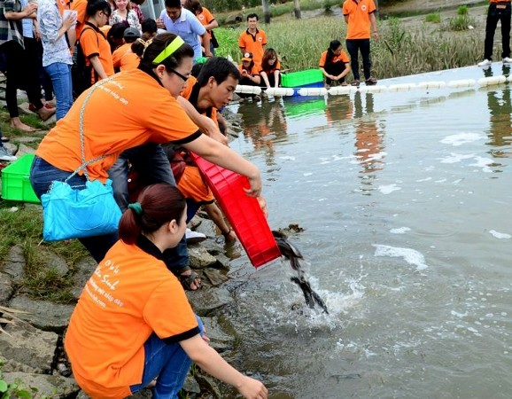 trai tim dau xuan (2).jpg