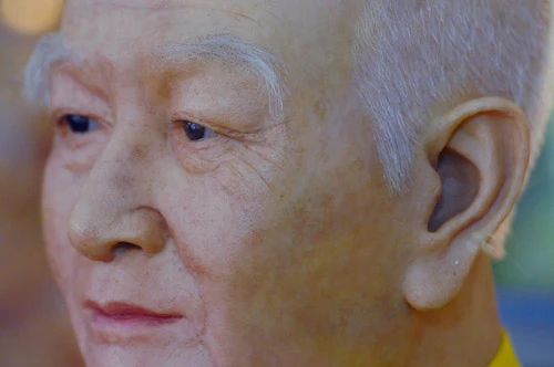 Pho tượng như người thật ở chùa Quán Sứ ảnh 6