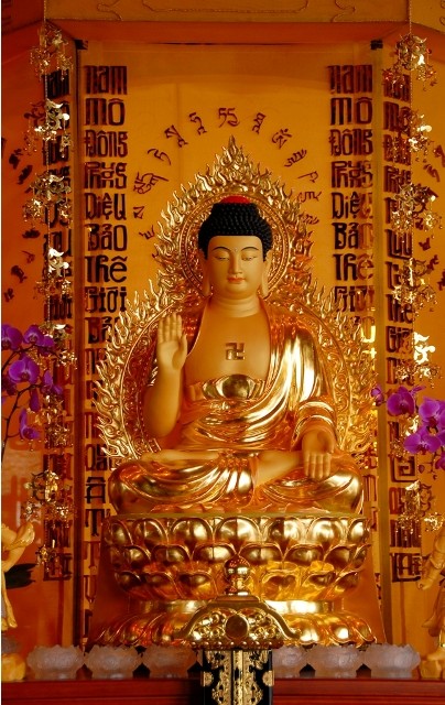 Tieu tai dien tho.JPG