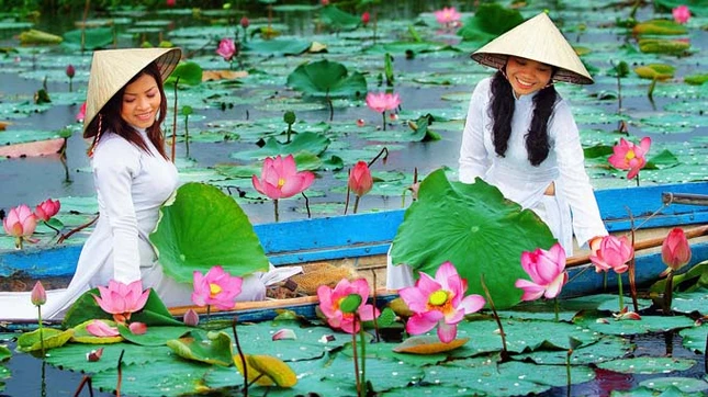 Thủ tướng đồng ý lựa chọn quốc hoa ảnh 1 hoa sen.jpg