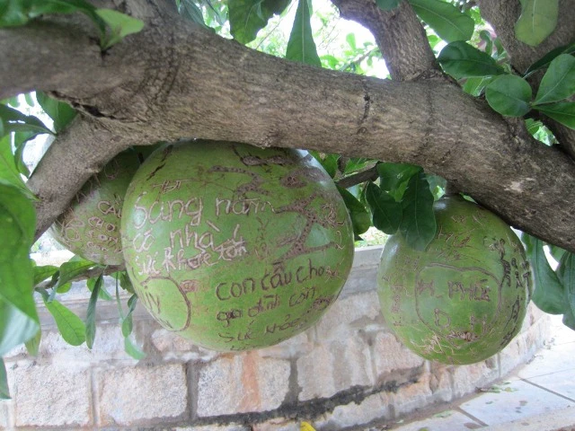 Trăn trở về việc đi chùa của người trẻ ảnh 3 anh 3, PGTT, Thi Thuong.jpg