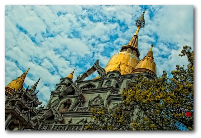 Uy nghi bảo tháp Gotama Cetiya ảnh 7 buu Long 7.jpg