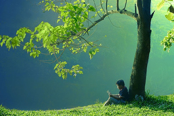 Ước mơ đơn giản ảnh 1 uoc mo.jpg