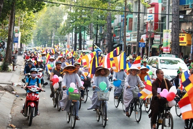 dap xe vi mau xanh11.JPG