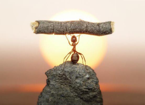 nho quen nhe long.jpg