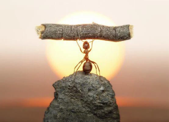 nho quen nhe long.jpg