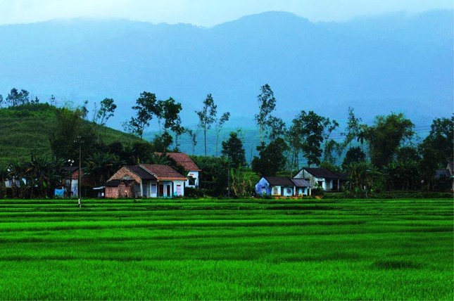 Hương tháng 3 ảnh 1 anh Nong son cua Nam Quang.jpg