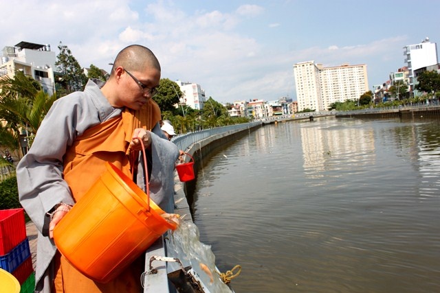 ph=ng sanh cß (2).JPG