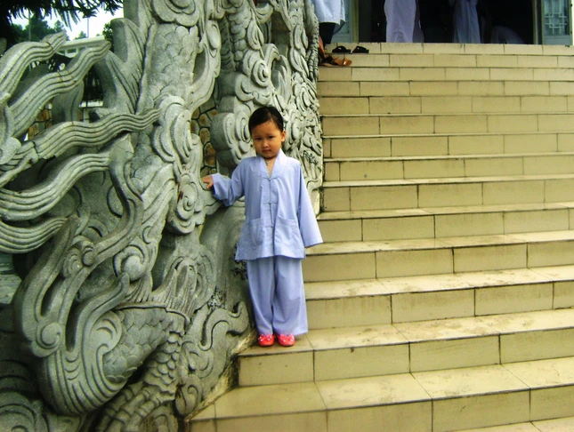 SONG DAO-DIEU HIEU.JPG