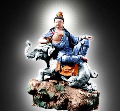 Tu hạnh Phổ Hiền ảnh 2 BotatPhohien.jpg
