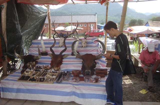 san pham dong vat.JPG