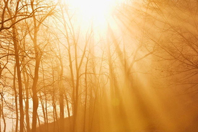 nang qua mien ky uc.jpg