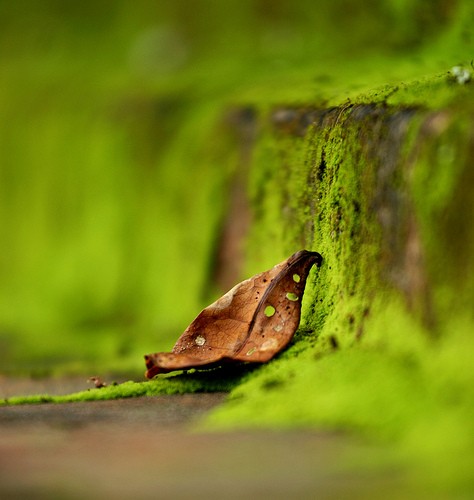 Những lời cho em ảnh 2 la kho.jpg