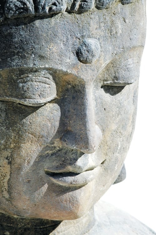 Nguy hại của sự chấp trước ảnh 2 mo But.jpg