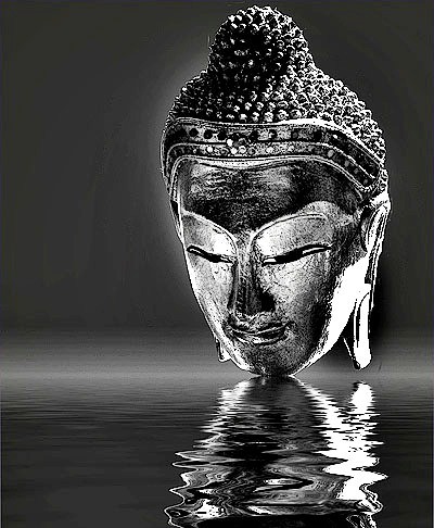 Con cá & cần câu ảnh 1 song dao.jpg