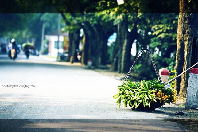 Con về thăm mẹ ảnh 1 loa ken.jpg