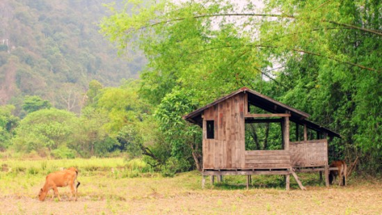 Lào "không vội vã" ảnh 8 IMG_6297