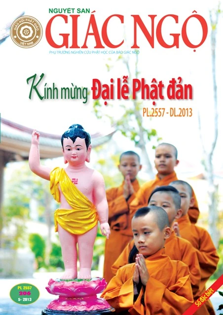 Bia 1-4 NS 206_curves.jpg