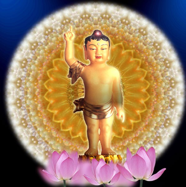 Ý nghĩa “Duy ngã độc tôn” ảnh 1 dan sinh 1.jpg