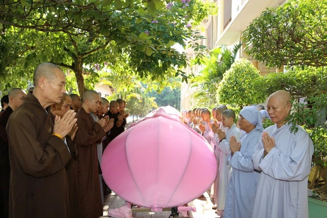 Bảy đóa sen hồng đã "nở" giữa dòng Hương giang ảnh 7 Bảy đóa sen hồng đã "nở" giữa dòng Hương giang ảnh 7