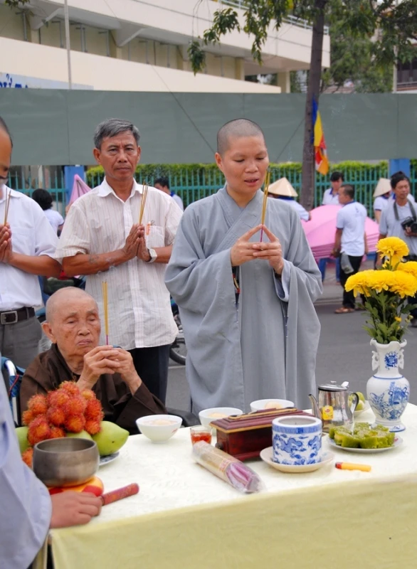 7 đóa sen hồng đã xuất hiện trên kênh Nhiêu Lộc ảnh 5 BTN_0034.JPG