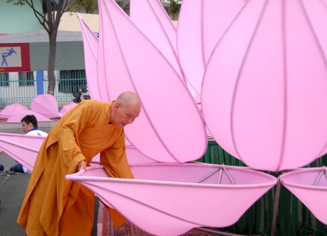 7 đóa sen hồng đã xuất hiện trên kênh Nhiêu Lộc ảnh 15 BTN_0071.JPG