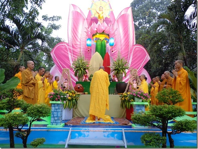 PVtamphat2.jpg
