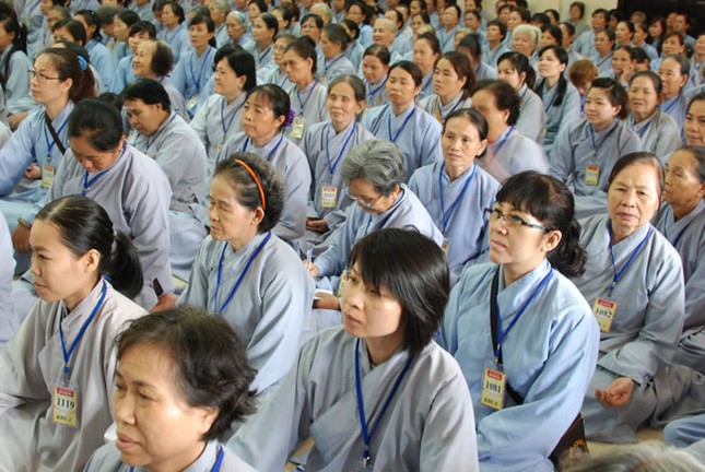 Phiên bản mới của "Phật pháp nhiệm màu" ảnh 3 hoa mat troi 1.jpg