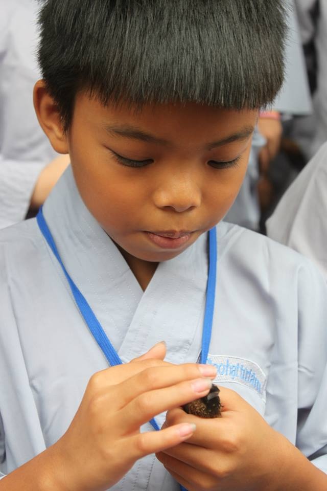 Sôi động mùa hè với Gieo hạt từ tâm kỳ 15 ảnh 15 bT vu_t ve chim tr²_c khi th_ n= v_ v_i b_u tr_i.jpg