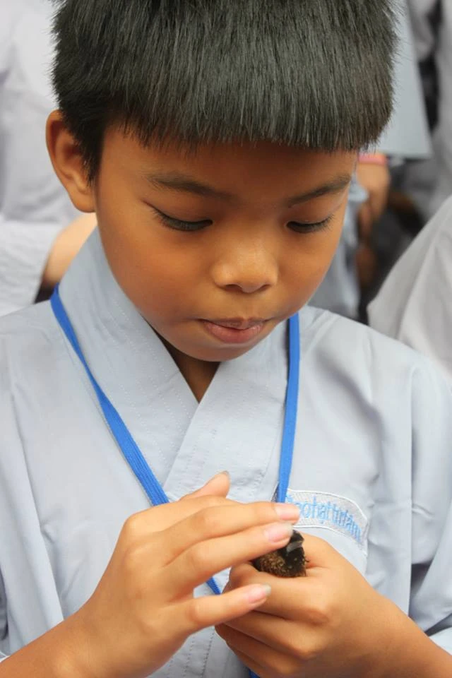 bT vu_t ve chim tr²_c khi th_ n= v_ v_i b_u tr_i.jpg