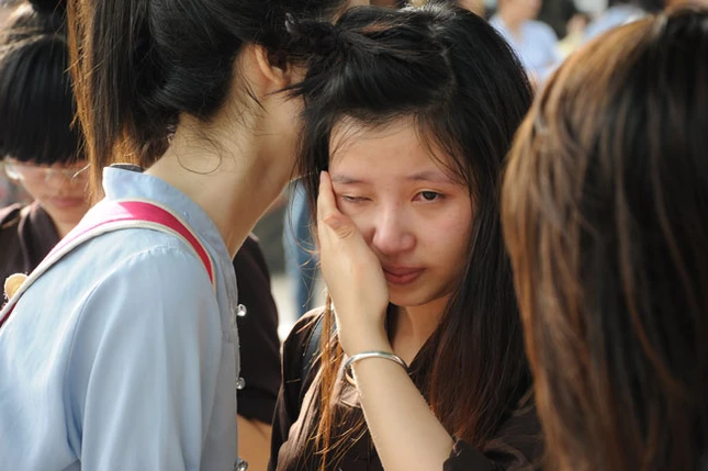 Toàn cảnh Khóa tu mùa hè 2013 tại chùa Hoằng Pháp ảnh 91 Toàn cảnh Khóa tu mùa hè 2013 tại chùa Hoằng Pháp ảnh 91