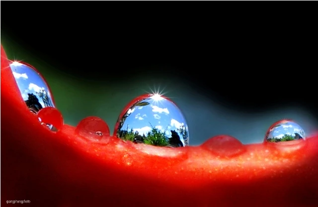 suong_Giang Phong.jpg