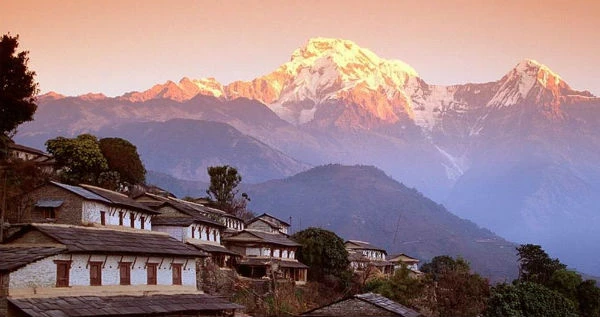 Sự sống là thiêng liêng ảnh 1