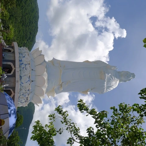 anh minh hoa.jpg