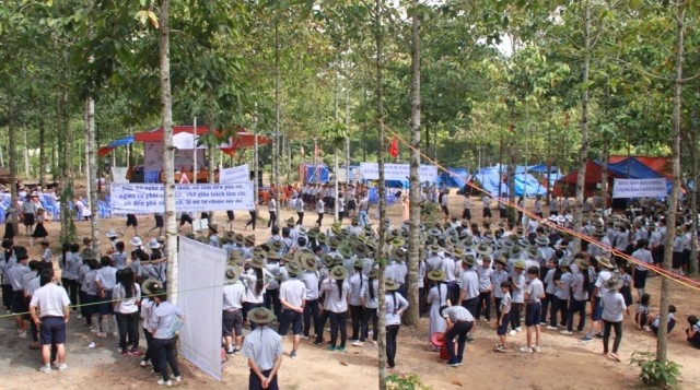 trai luc hoa dn14.JPG