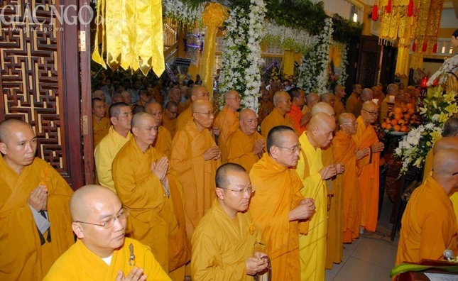 Anh AA (4).jpg