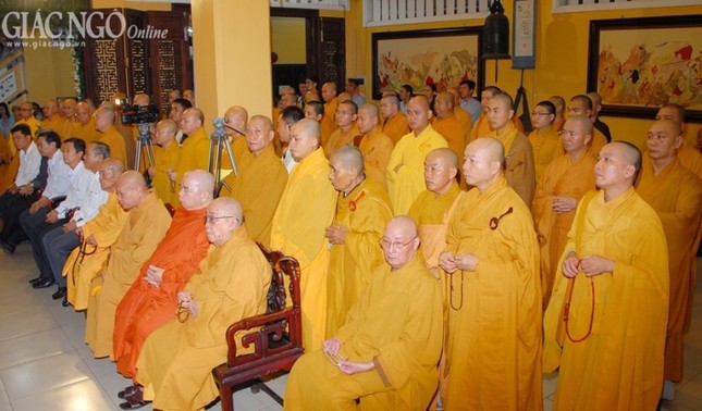 Anh DQ (7).jpg