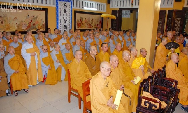 Anh DQ (8).jpg