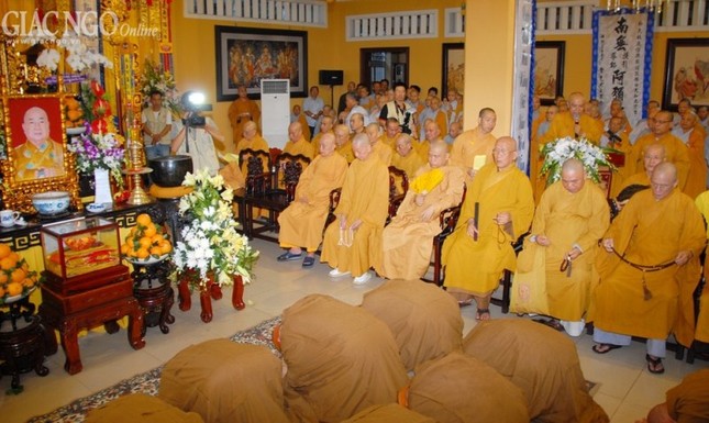 Anh DQ (9).jpg