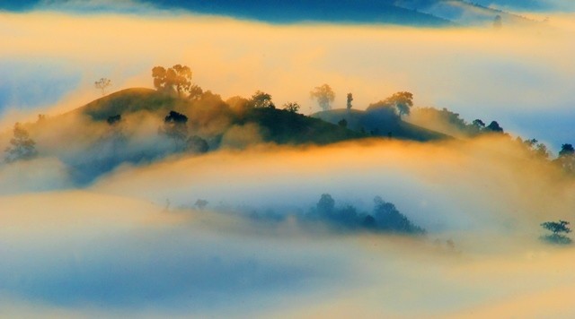 Nặng lòng với xứ trà ảnh 7 giang phong7.jpg