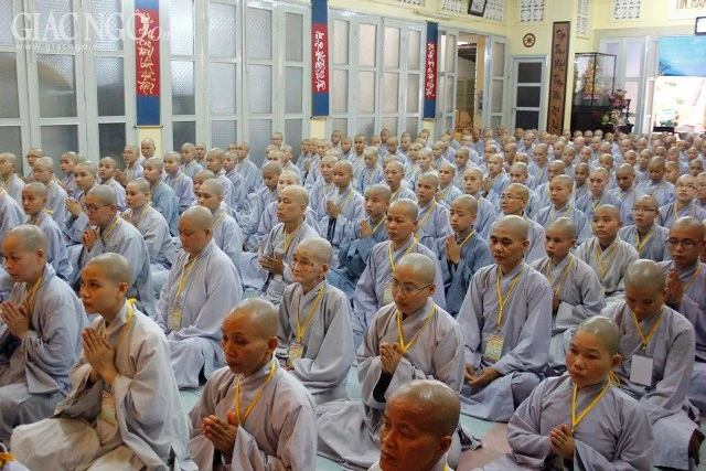 1tungluat TNghiem01.JPG