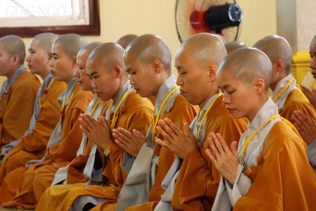 1tungluat TNghiem17.JPG