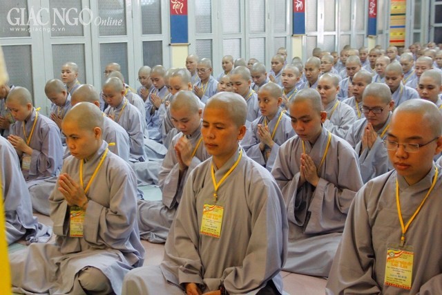 1tungluat TNghiem22.JPG