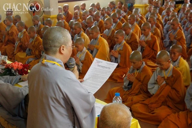 1tungluat TNghiem25.JPG