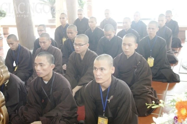 giaogioi203.jpg